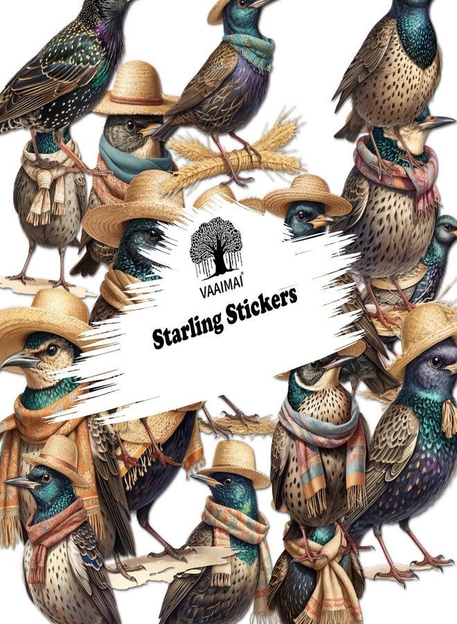 VAAIMAI 17-Piece Starling Stickers | Watercolor European Bird & Garden Wildlife Designs | Waterproof Iridescent Bird Stickers for Nature Journal, Pack of 4 - Image 2